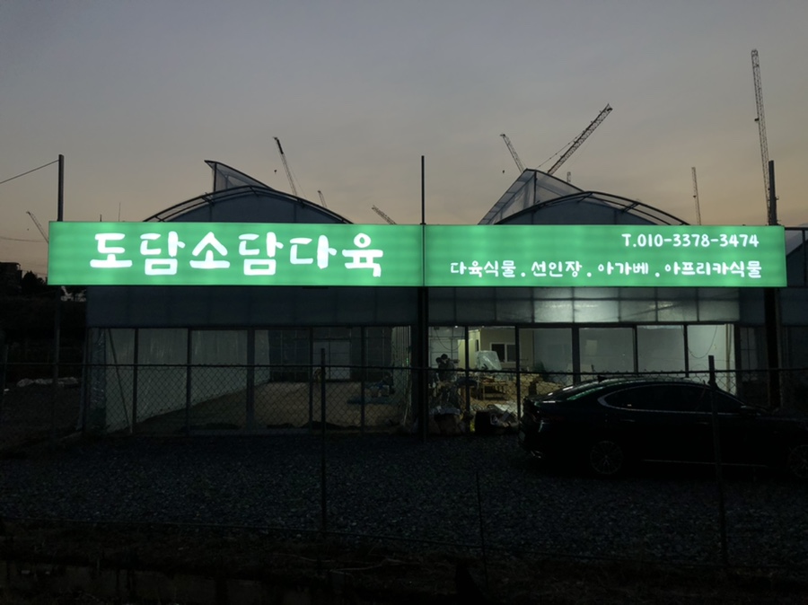 도담소담다육 이미지