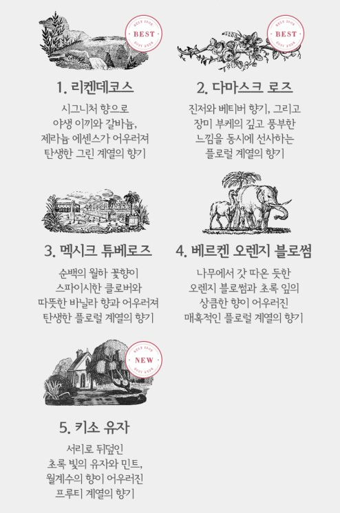 바디윌 이미지