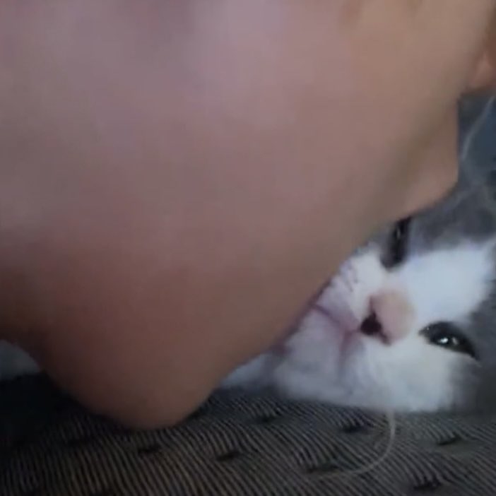 (주)대창 이미지