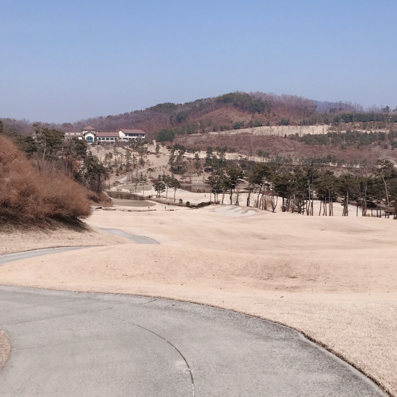 벙커구장 이미지