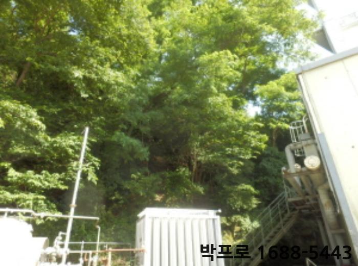 서동식품 이미지