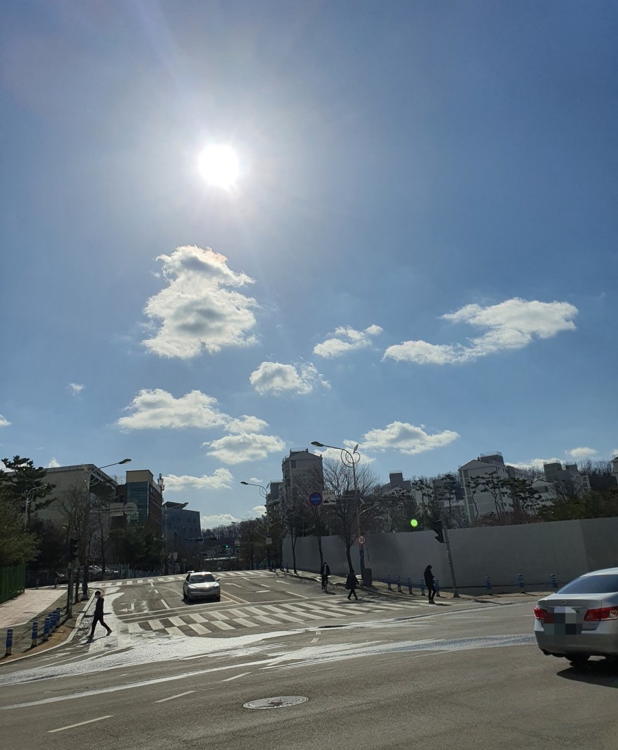데이지스터디카페 이미지