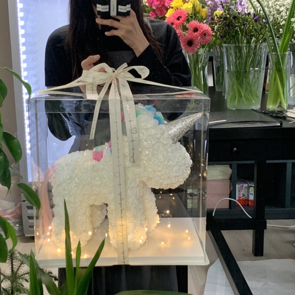 모이스블룸 이미지