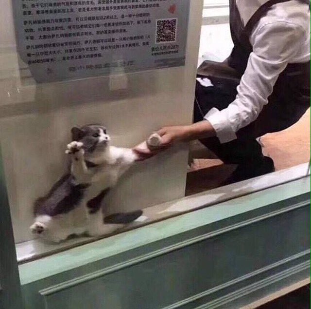 네일팩토리 이미지