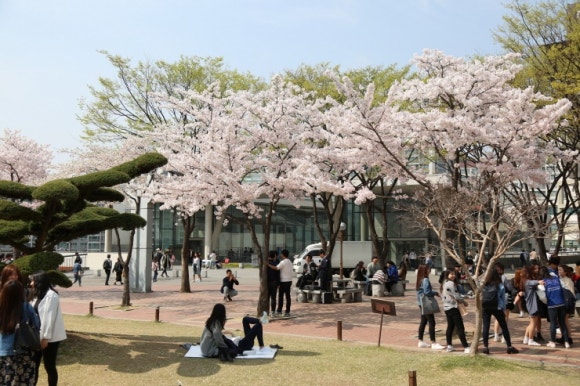 벨류 인 서울 이미지
