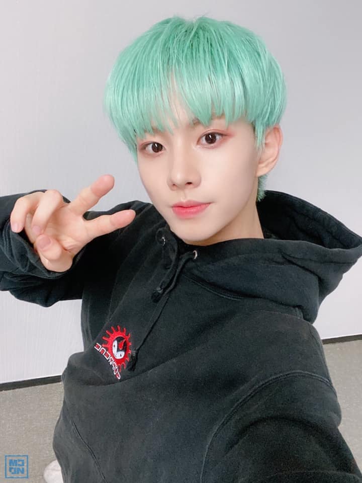 민트헤어 이미지