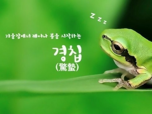 와요치킨 이미지