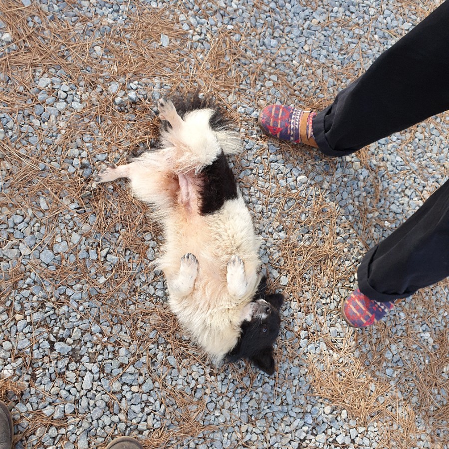 몽산포랑바다랑 이미지