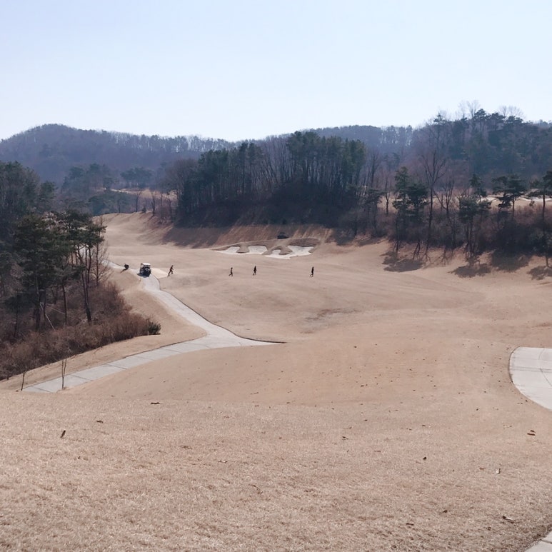 벙커구장 이미지