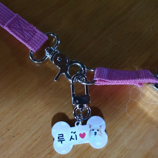 어야가자 이미지