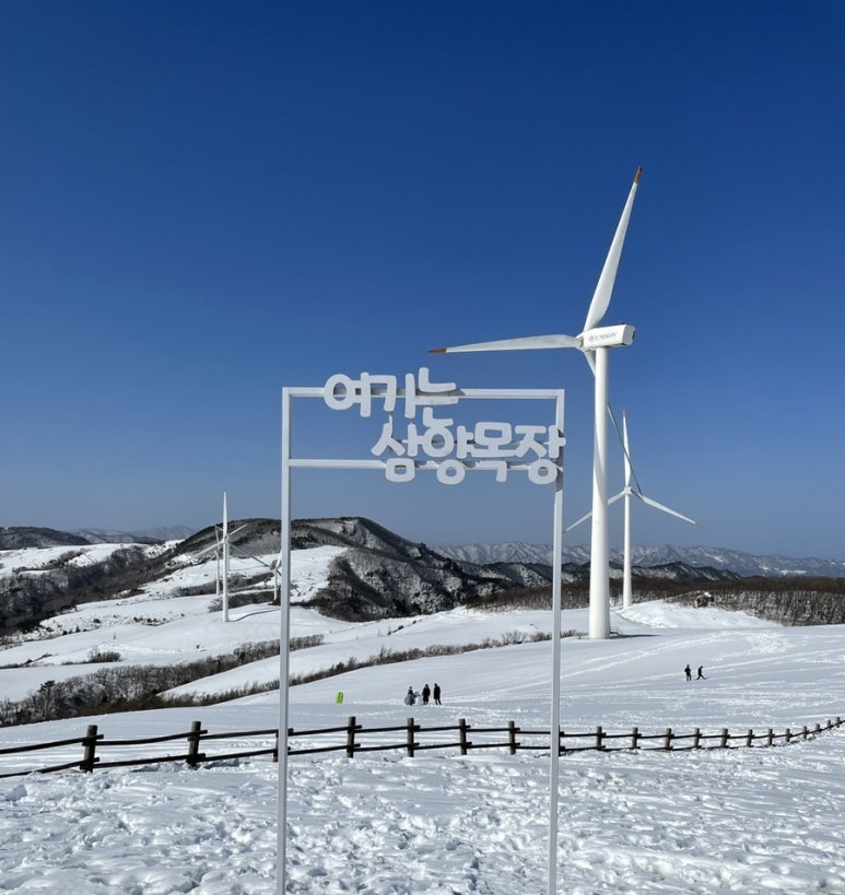 도깨비수제어묵 이미지