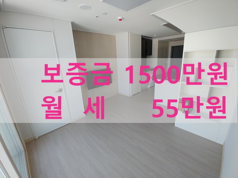 주식회사 라온베이 이미지