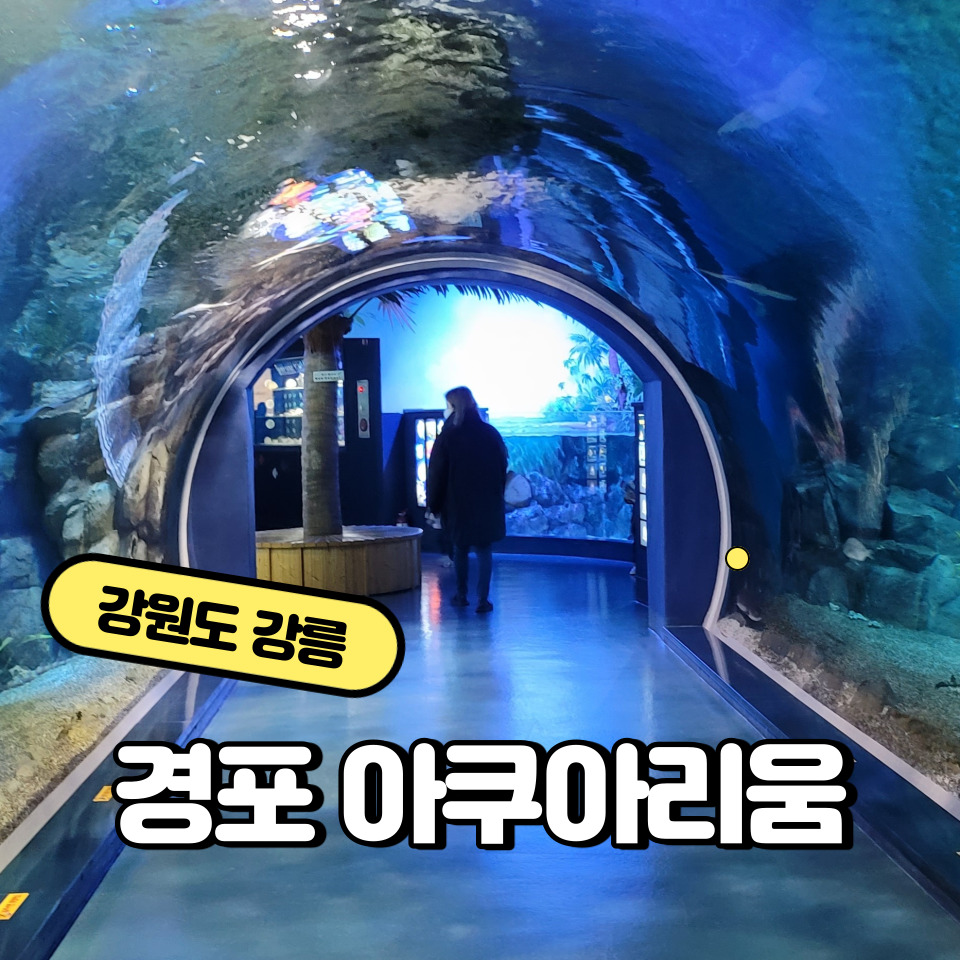 경포빌딩 이미지