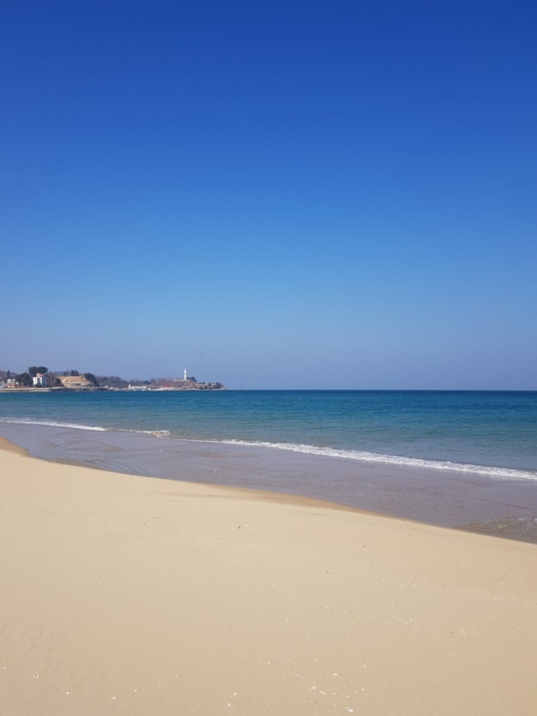 동해반점 이미지
