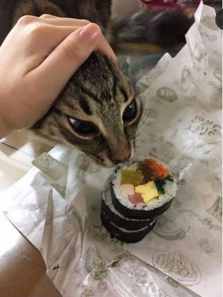 대막 이미지