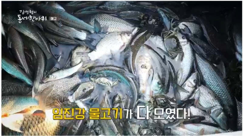 임진강어부 식당 이미지