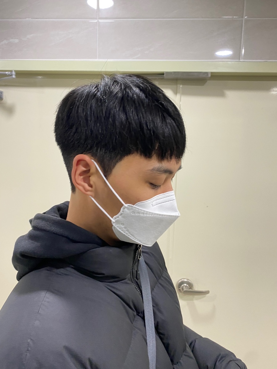 로슬린헤어 이미지