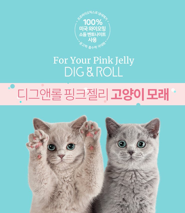 핑크젤리 이미지