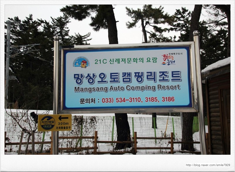 대진여행사 이미지
