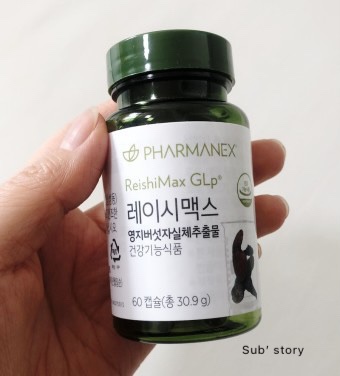 버섯과면역 이미지