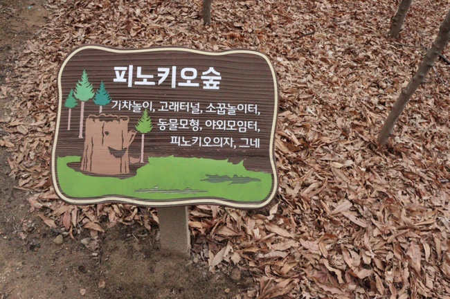 피노키오 유아숲체험원 이미지