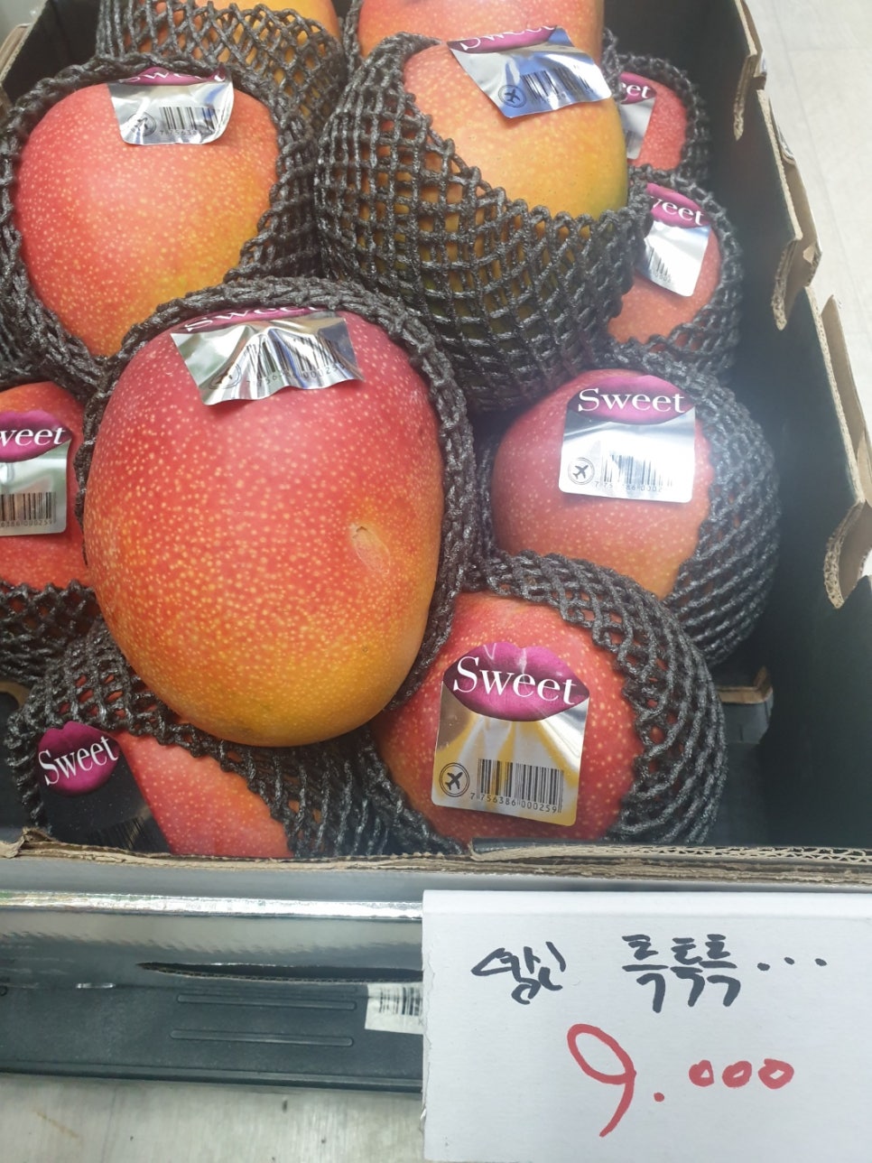 해피푸릇 이미지
