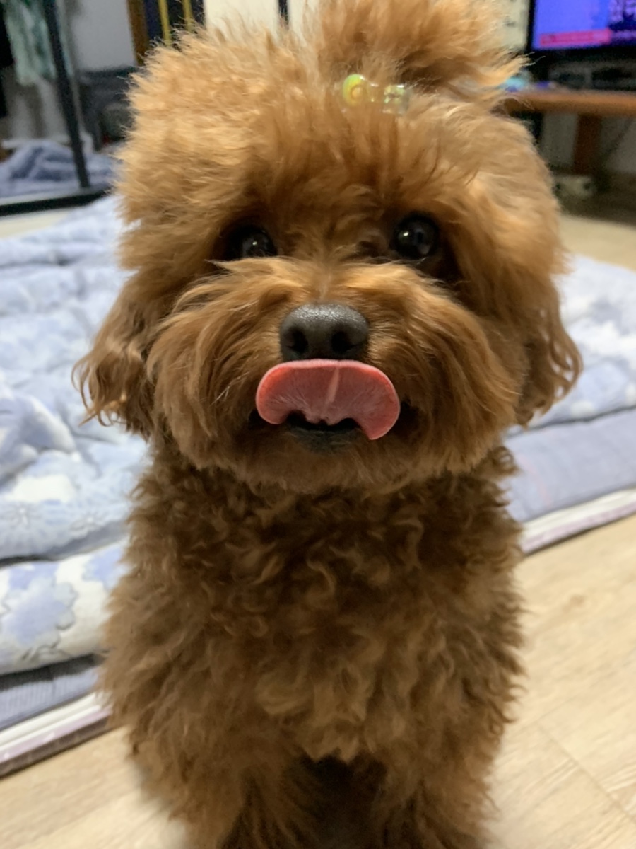 둥실공작소 이미지