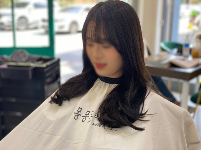 몽몽드 이미지