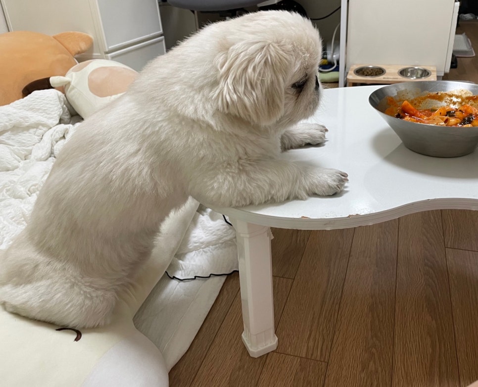 황금당떡볶이 이미지