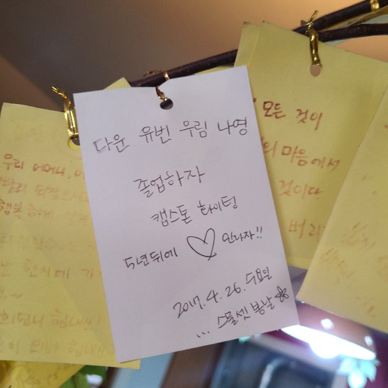 봉대박스파게티인제대점 이미지