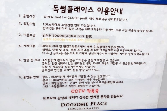 댕댕카페 이미지