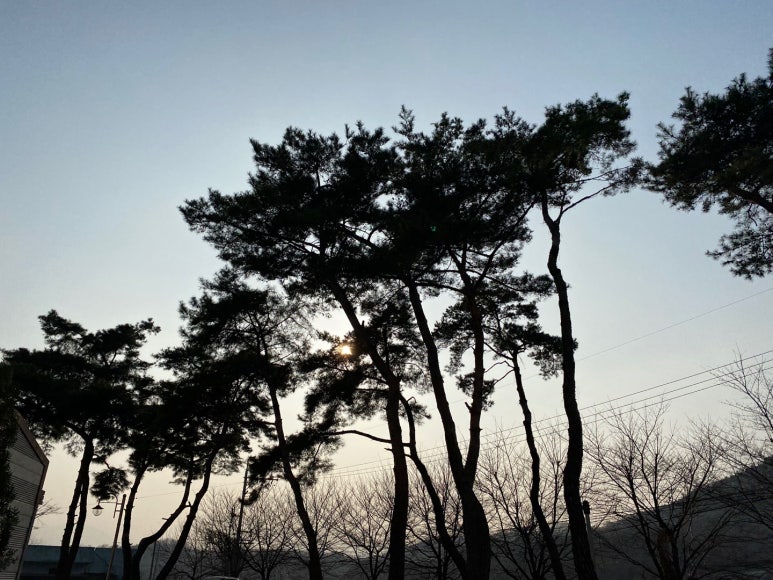 소나무노래연습장 이미지