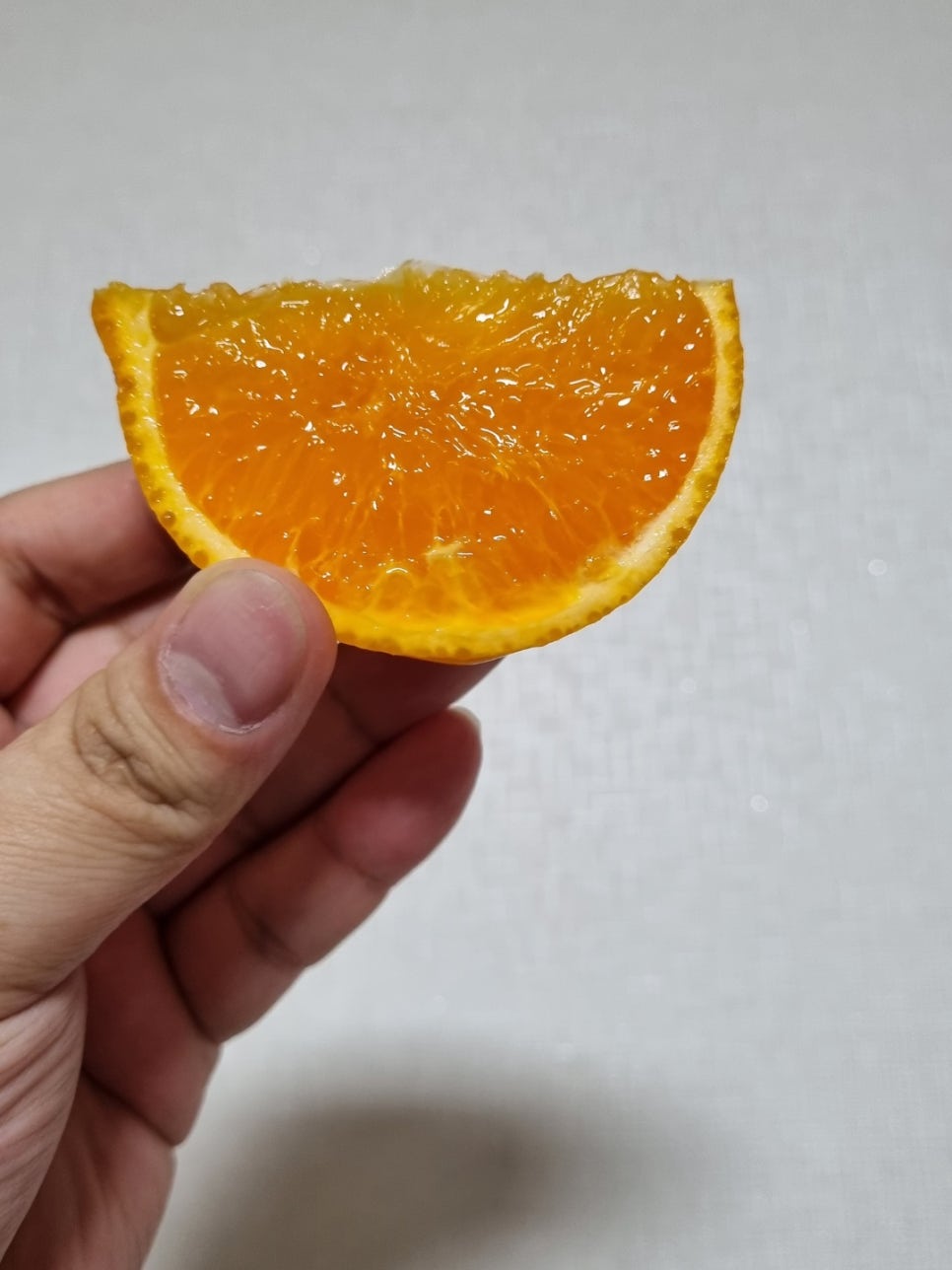 제주노란농수산 이미지