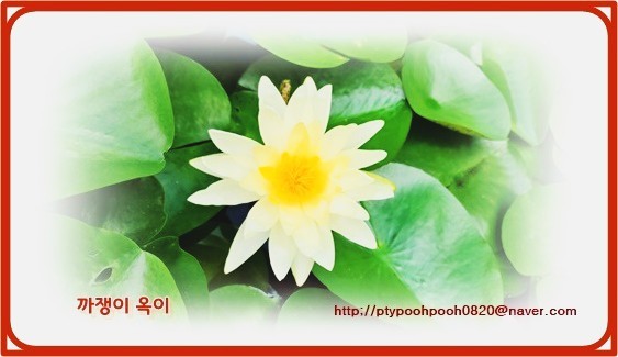 전주콩뿌리콩나물국밥24시 이미지
