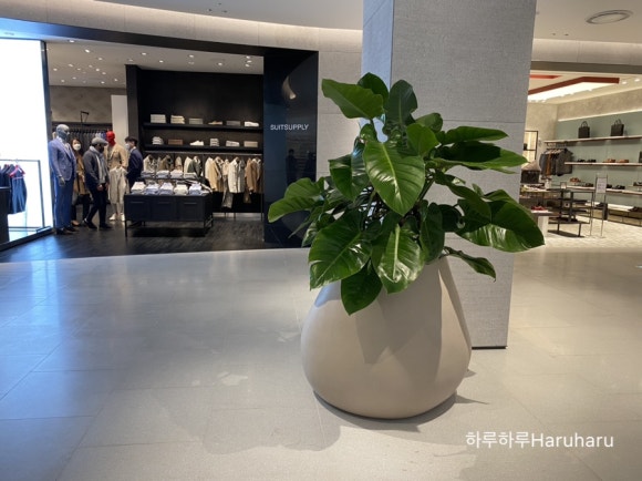 코지네스트현대 이미지