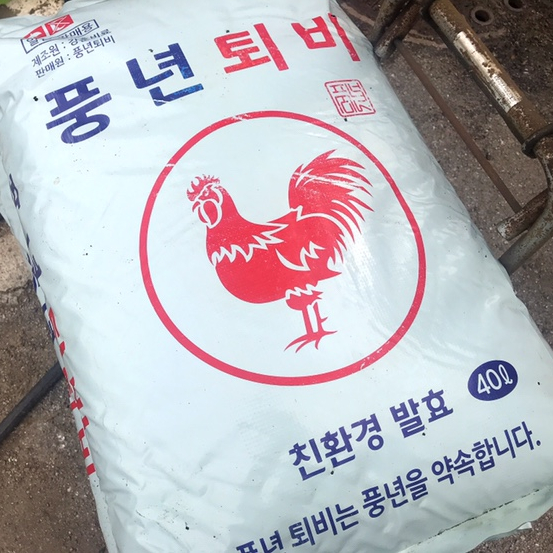 혁이네모종 이미지