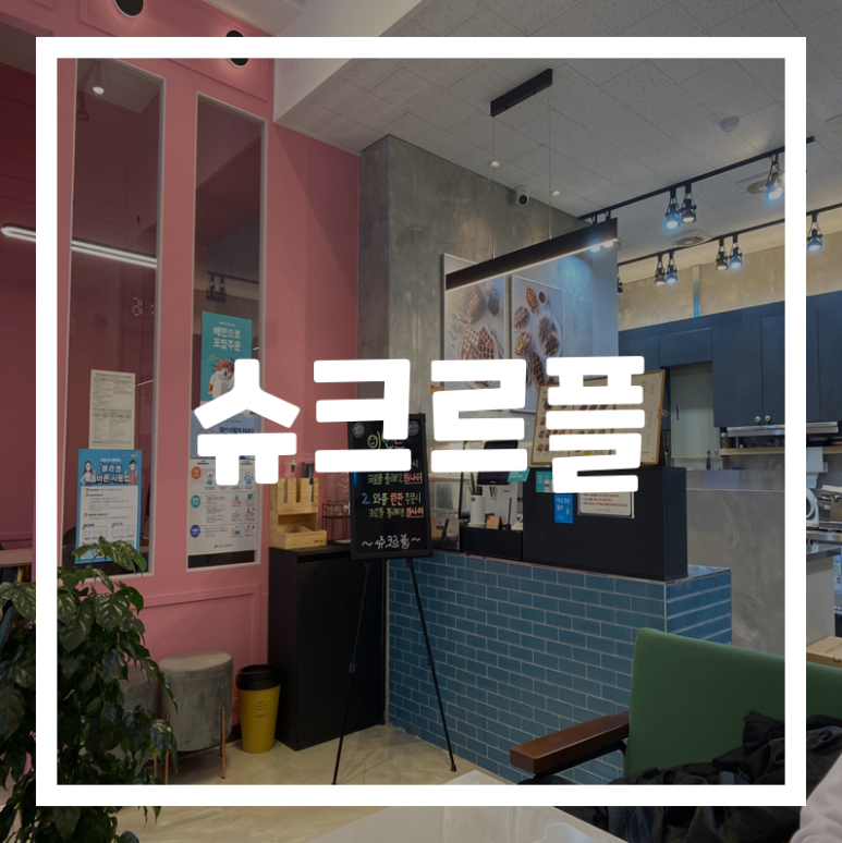 슈크르플 이미지