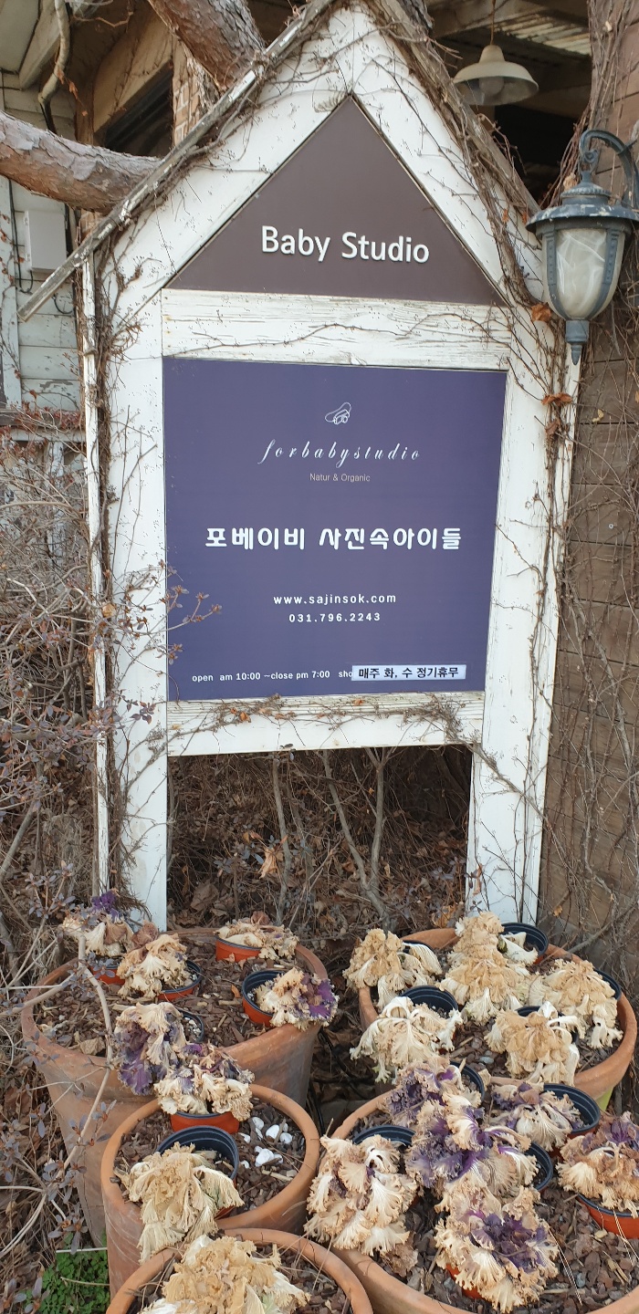 사진속아이들 이미지