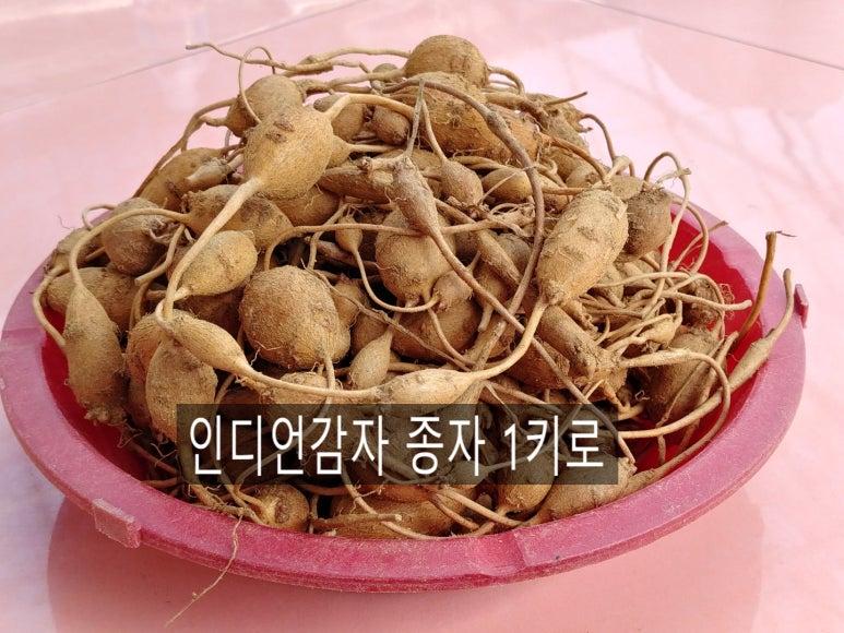 일산종묘사 이미지