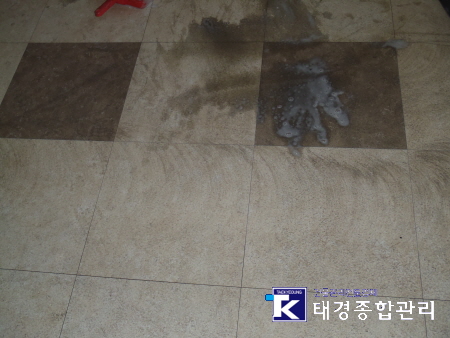 태경종합관리 이미지