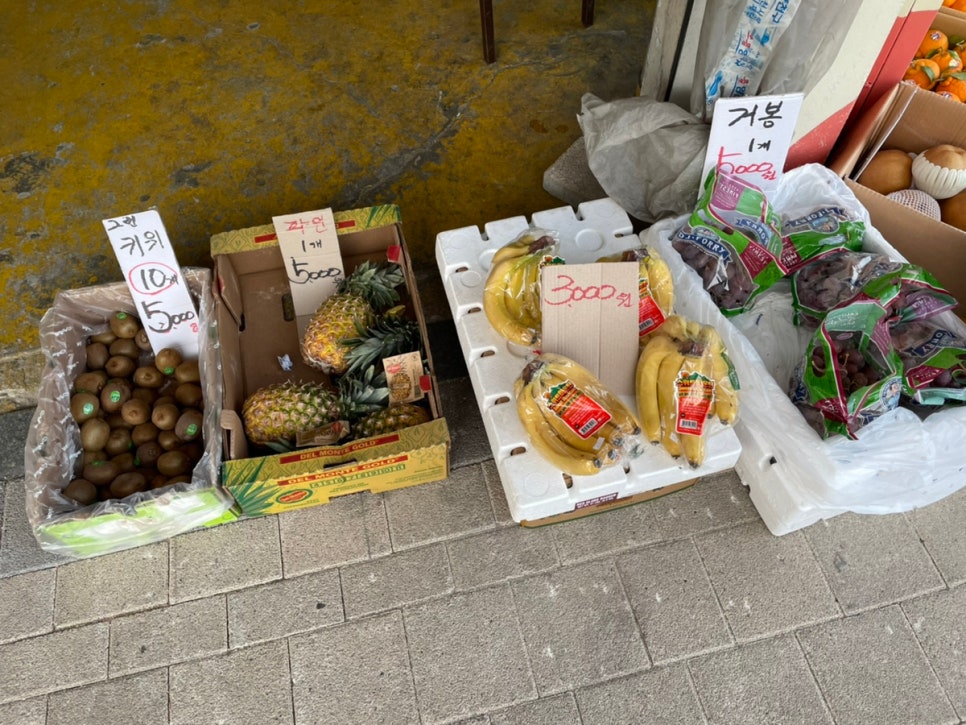 신선청과 이미지