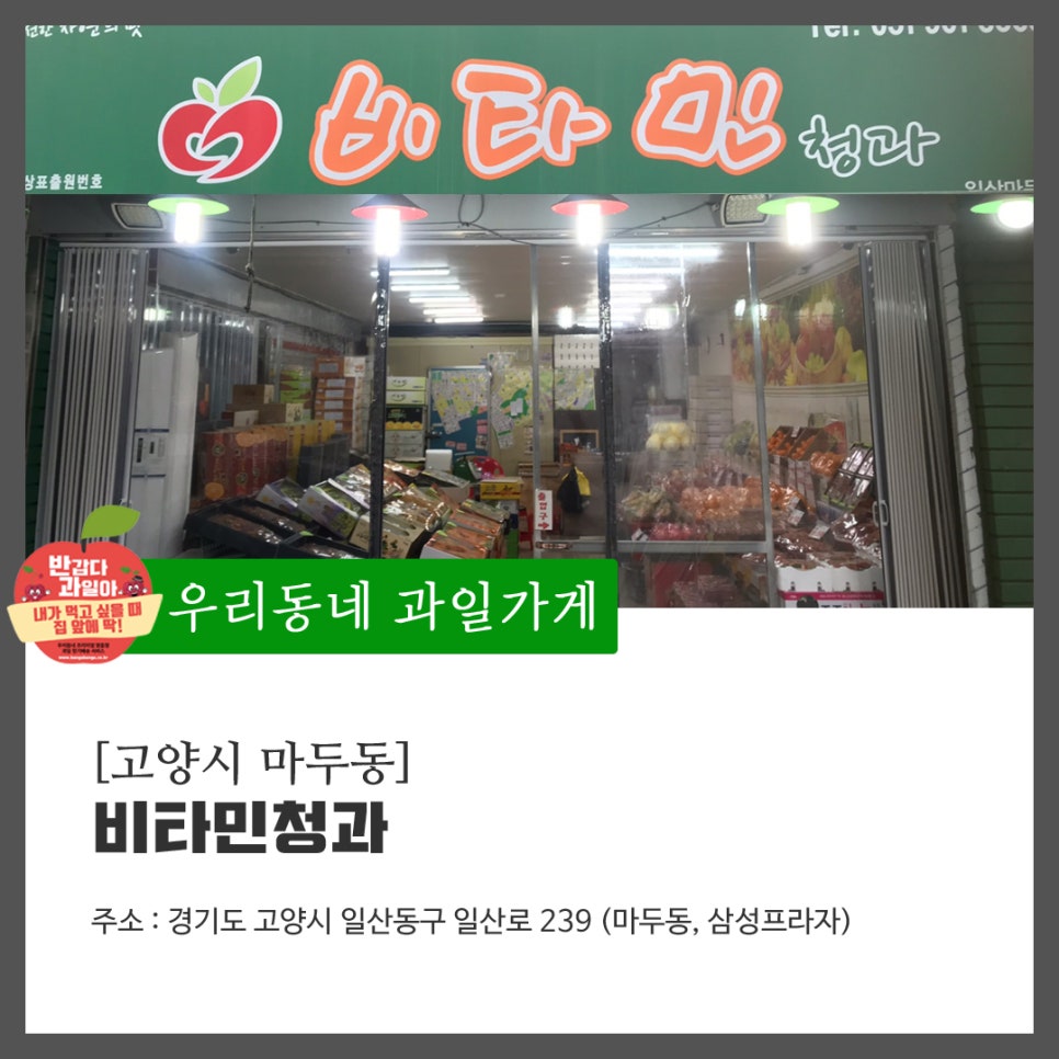 비타민청과 이미지