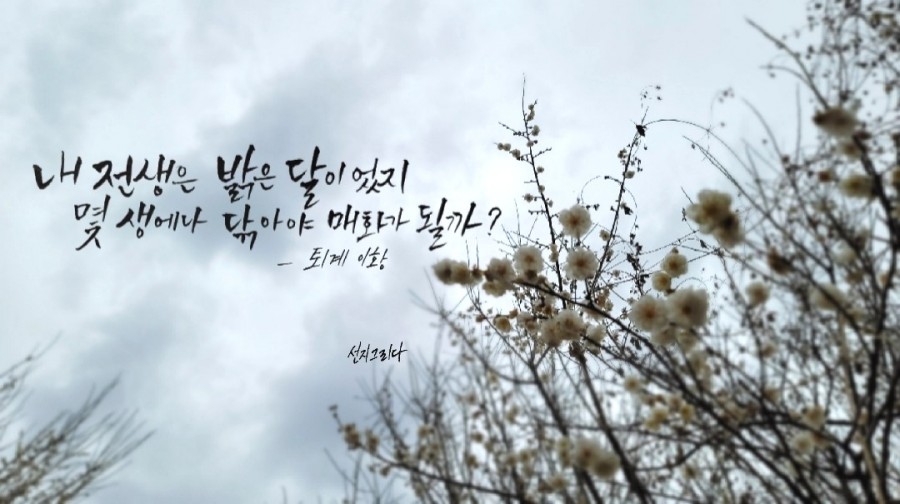 선지그리다 이미지