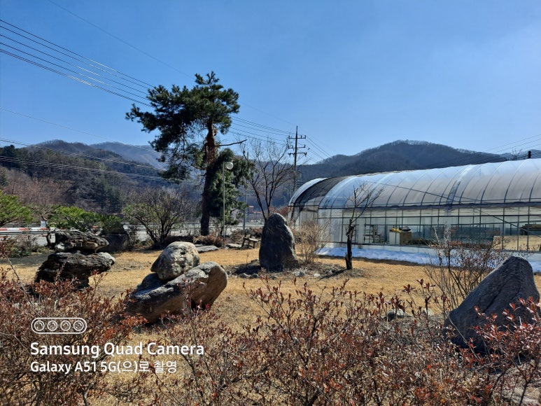 다육식물체험장 이미지