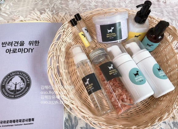 한국전문교육공예강사협회 이미지