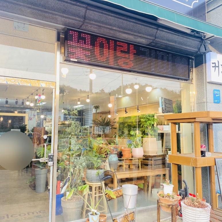 리리플라워 이미지