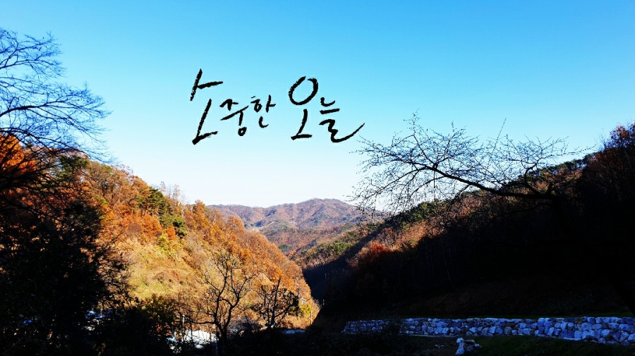 소중한오늘 이미지