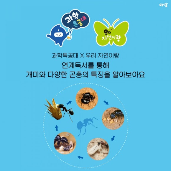 개미서점 이미지