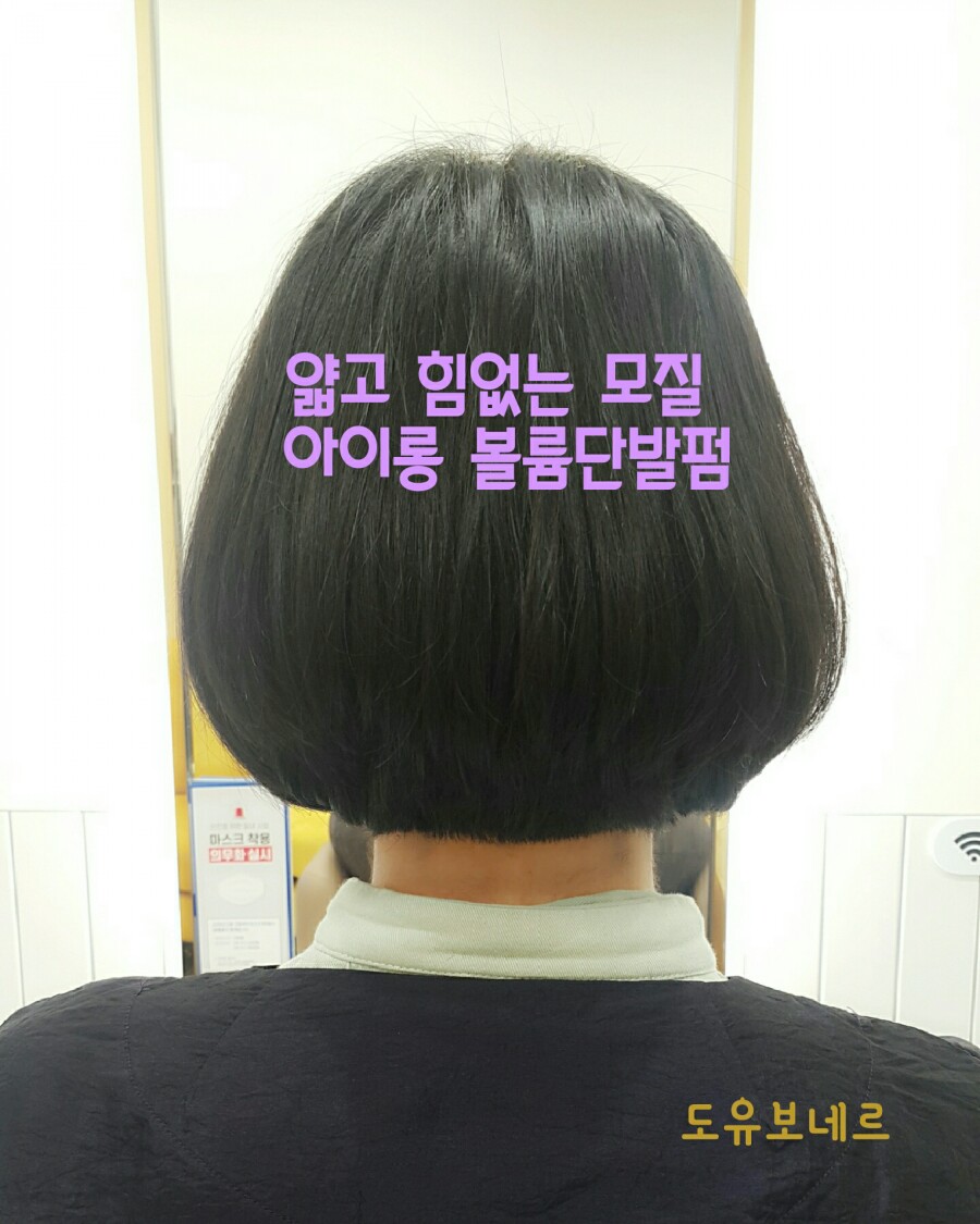 도유보네르 이미지