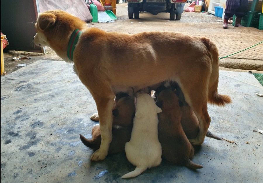 세상살이 이미지